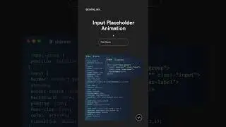 Input Placeholder Animation using CSS ✨