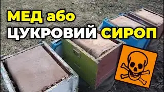 Зимівля карніки в різних типах вуликів та на різних видах кормів.