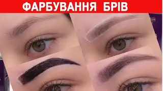 Фарбування брів барвником