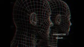 SHALEV - CONNECTED