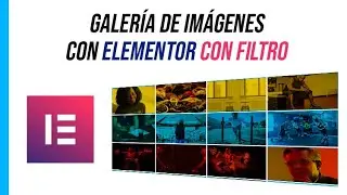 👉👉GALERÍA DE IMÁGENES con FILTROS con ELEMENTOR rapidito 👽👽