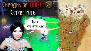 PVP которое я люблю, рейд в Серую Рать Сиродил  #teso