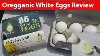 Hindi | Oregganic White Eggs 6 pcs Tray