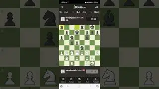 CheckMate in One Move