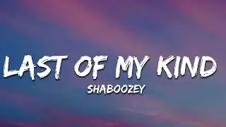 Shaboozey - Last Of My Kind (Lyrics) ft. Paul Cauthen