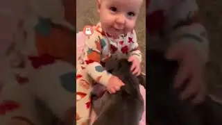 Un PERRO es el MEJOR HERMANO MAYOR 🐶❤️