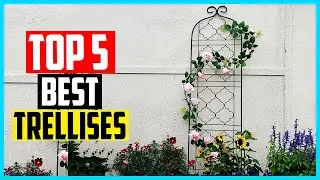 ▶️Best Trellises in 2023