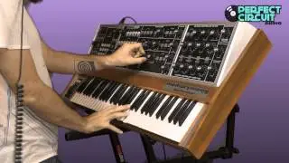 Moog Memorymoog Vintage Analog Synthesizer Overview