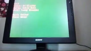 Mario: SFX 100 Orange Clearer