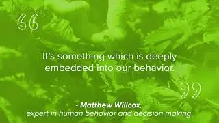 Matthew Willcox on Decision Making – Audio Insights from MindTools.com