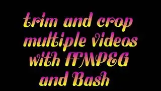 using ffmpeg in a bash script to make multiple video snippets