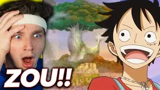 ARRIVAL AT ZOU!! (one piece reaction)