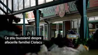 Ce știu buzoienii despre afacerile familiei Ciolacu