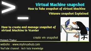 How to Take Snapshots of Virtual Machines in VMware | VMware snapshot Explained