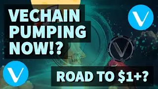 VECHAIN PUMPING NOW!? | VECHAIN PRICE PREDICTION 2021 | VET PRICE PREDICTION | VET ANALYSIS