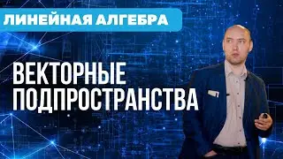 Как устроено векторное подпространство? Душкин объяснит