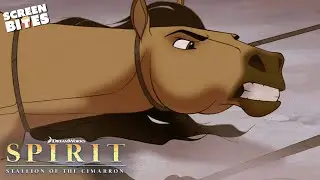 Captured By Cowboys | Spirit: Stallion of the Cimarron (2002) | Screen Bites