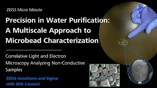 Water Purification: Multiscale Microbead Characterization | ZEISS CLEM | ZMCC Live Demo | Episode 29