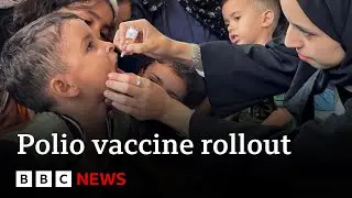 Pause in fighting holds as Gaza children get polio vaccine | BBC News