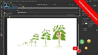 Chili Plant Growing Animation in Adobe Animate | Adobe Animate CC 2D Animation Tutorial