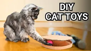 20 DIY Cat Toys Your Cats WILL Go CRAZY For! (& How To Make Them!)