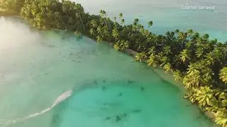 The Nature Conservancy: Palmyra Atoll