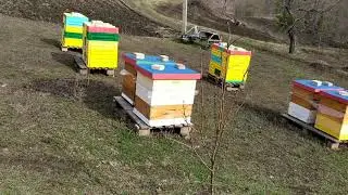 Карника. Перший масовий обліт 2020. Перший пилок.