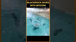 BlackRock Dives Into Bitcoin