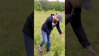It's allergy season! 🤧🌾