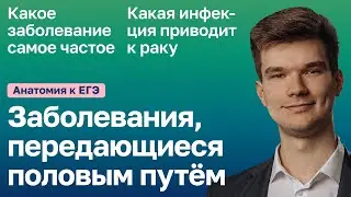 6.110. Заболевания, передающиеся половым путём | Анатомия к ЕГЭ | Георгий Мишуровский