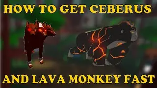 HOW TO GET CERBERUS AND LAVA GORILLA FAST | Roblox Animal Simulator