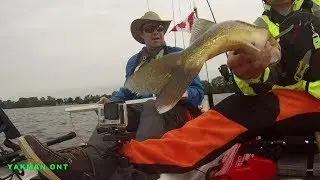 Walleye from a Kayak  Bay of Quinte