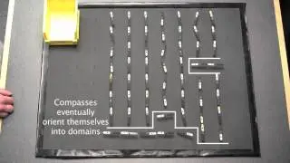 Simulation of Magnetic Domains