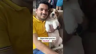POV : You are a dog dad 