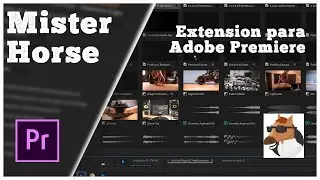 MISTER HORSE COMPLEMENTOS  PARA ADOBE PREMIERE