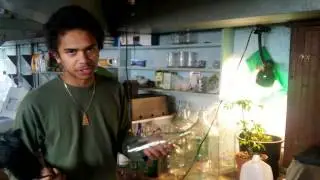 Urban Permaculture Spring Preparations w/ William Padilla-Brown