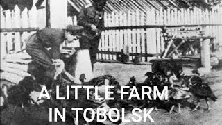 A LITTLE FARM IN TOBOLSK or " Poor Turkey": A Thanksgiving themed tale.