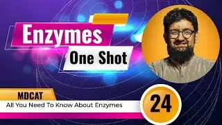 Enzyme Complete | One Shot Lecture