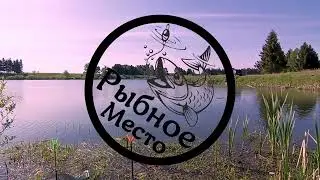 Обзор катушек и подарки.