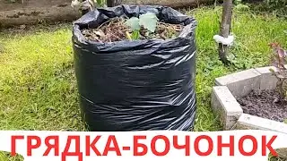 КОГДА ЛЕНЬ ДЕЛАТЬ ГРЯДКИ / БЫСТРЫЕ ГРЯДКИ / НА РАННИЙ УРОЖАЙ