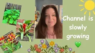 Garden Talk - Small YouTube gardening channel growing slowly | Container gardening