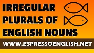 English Grammar Lesson - Irregular Plurals of English Nouns