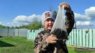 Новый костюм...Всё заросло😥 Все новости