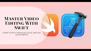 How to Apply GrayScale, Blur or Hue Adjust to a Video in Native macOS app with Swift