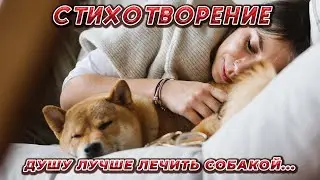 СТИХОТВОРЕНИЕ "ДУШУ ЛУЧШЕ ЛЕЧИТЬ СОБАКОЙ..."