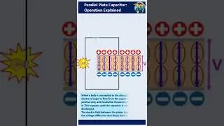 Capacitor working principle Explained | Charging Discharging of Parallel Plate Capacitor #electrical