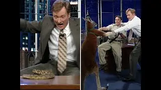 The Kangaroo Incident | Late Night with Conan O’Brien