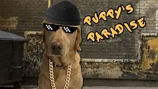 Puppy's Paradise (Gangsta's Paradise - Dog Version)