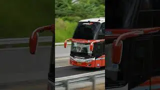 BUS DOUBLE DECKER ROSALIA INDAH DI TOL TRANS JAWA #BUS #AUTOMOBILE #BUSMANIA #buspariwisata