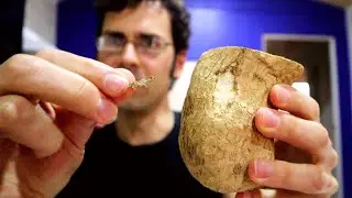 CHAYOTE ROOTS - I've had the FRUIT, now its time to try the ROOT